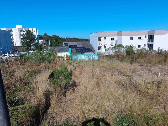 #228 - Área para Venda em Caxias do Sul - RS