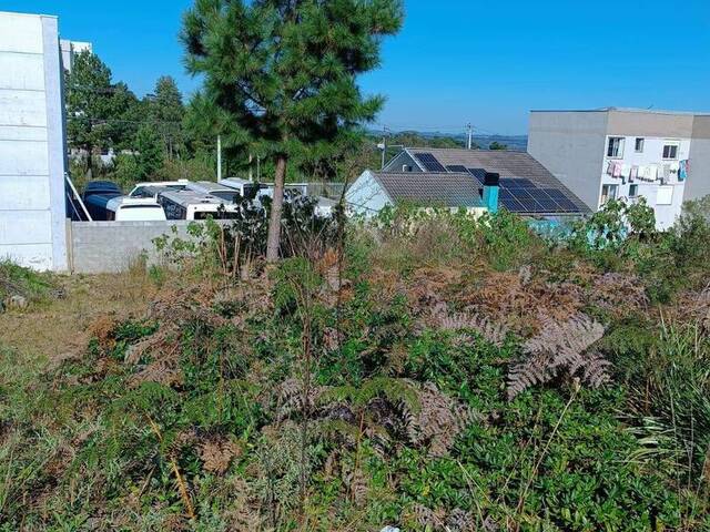#229 - Área para Venda em Caxias do Sul - RS