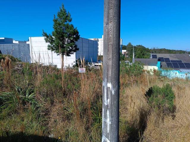 #229 - Área para Venda em Caxias do Sul - RS