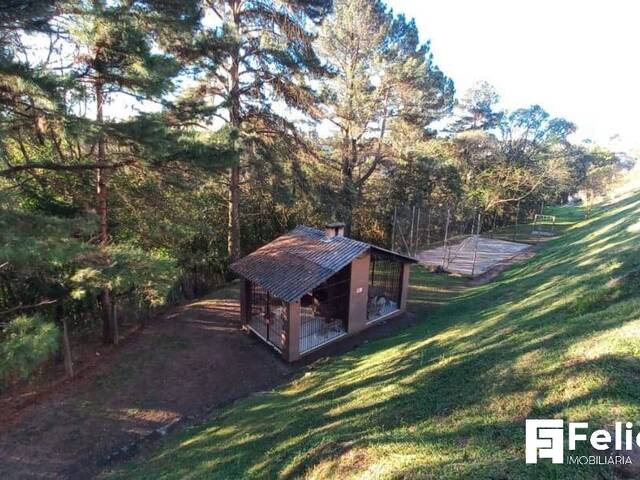 Apartamento para Venda em Caxias do Sul - 4