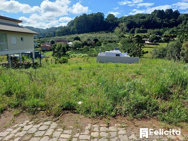 Venda em Monte Bérico - Caxias do Sul