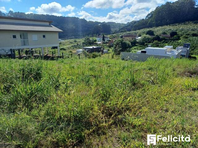 #1457 - Área para Venda em Caxias do Sul - RS
