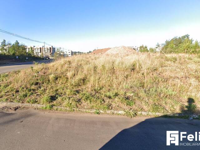 Terreno para Venda em Caxias do Sul - 4