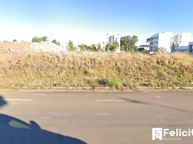 Venda em Bela Vista - Caxias do Sul