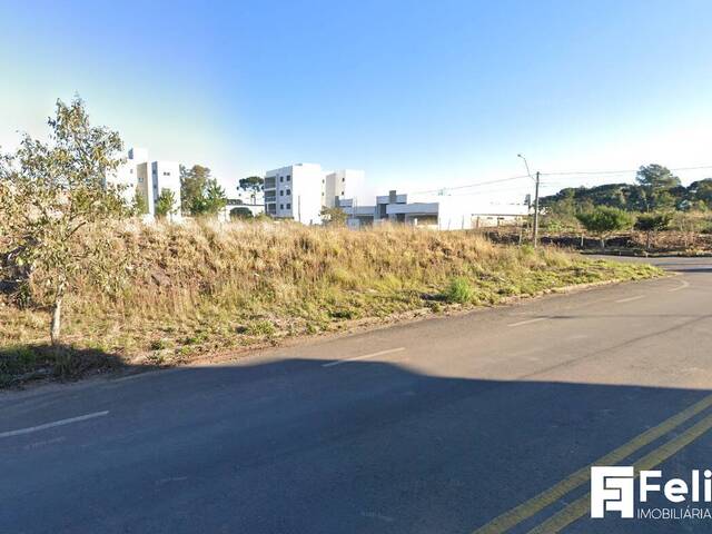 Área para Venda em Caxias do Sul - 4