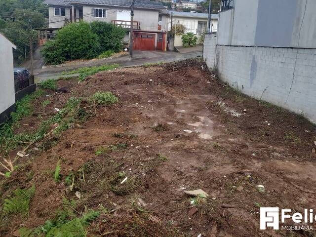 Venda em Desvio Rizzo - Caxias do Sul