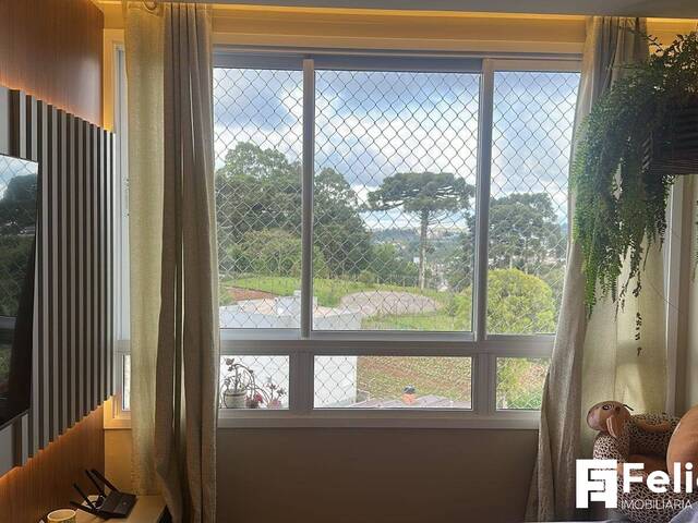 Apartamento para Venda em Farroupilha - 5