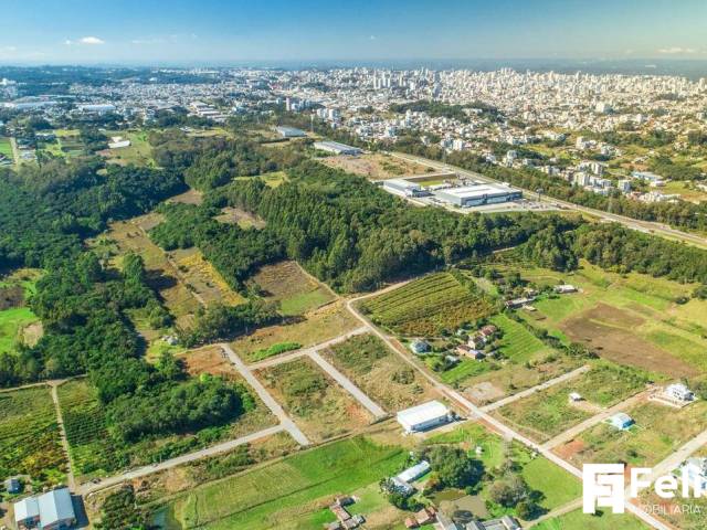 #1505 - Área para Venda em Caxias do Sul - RS
