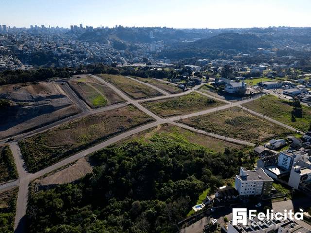 Área para Venda em Caxias do Sul - 4