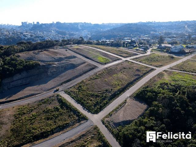 Área para Venda em Caxias do Sul - 5