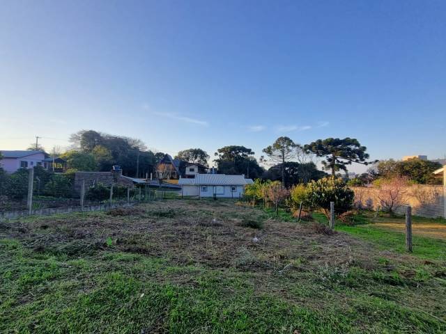 #1595 - Área para Venda em Caxias do Sul - RS