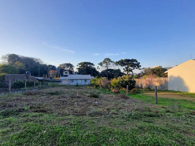 #1595 - Área para Venda em Caxias do Sul - RS