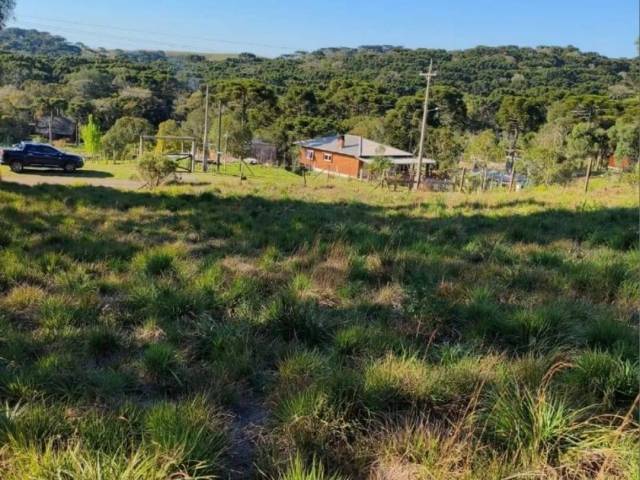 #1621 - Chácara para Venda em Caxias do Sul - RS