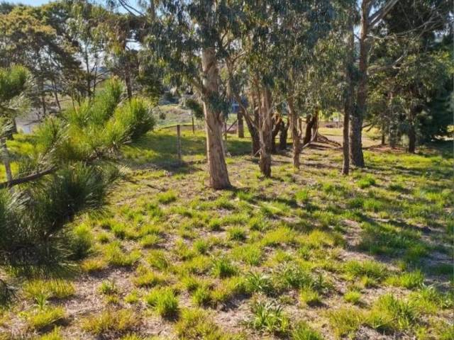 #1621 - Chácara para Venda em Caxias do Sul - RS