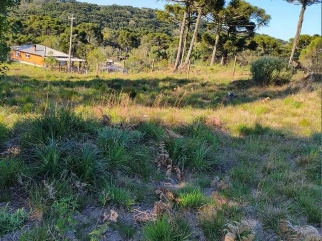 Chácara para Venda em Caxias do Sul - 5