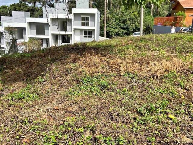 Venda em Ana Rech - Caxias do Sul