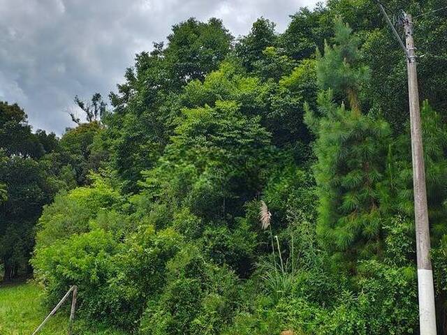 #1657 - Área para Venda em Caxias do Sul - RS