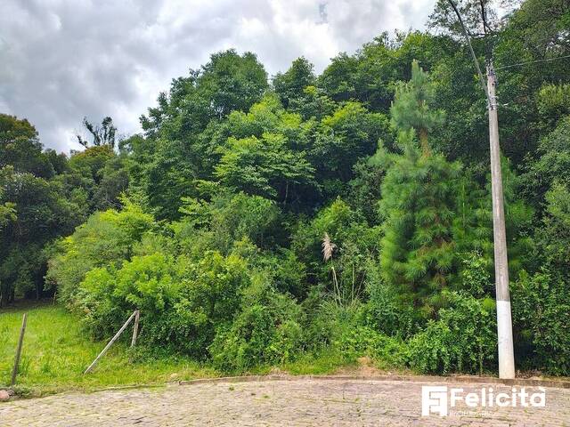 #1657 - Área para Venda em Caxias do Sul - RS