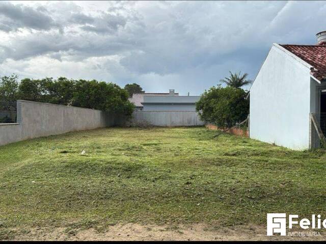 Venda em paraíso - Torres