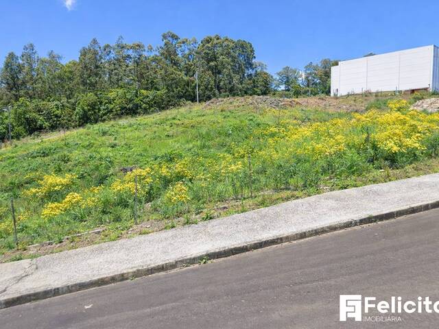 Fundos para Lote lindeiro