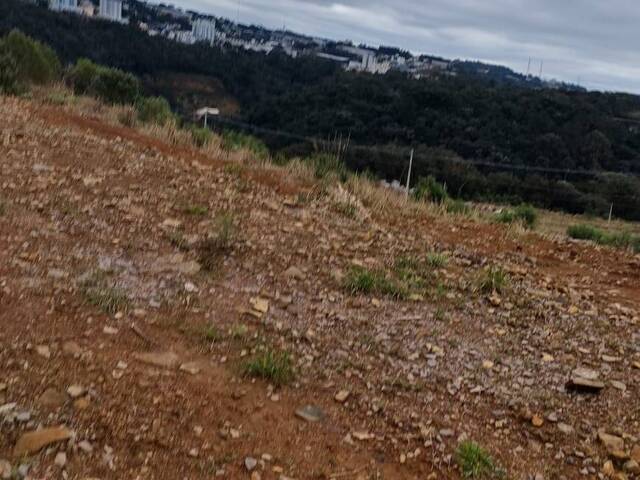 Área para Venda em Caxias do Sul - 4