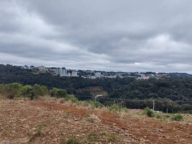 Área para Venda em Caxias do Sul - 5