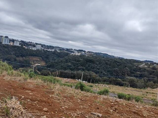 Área para Venda em Caxias do Sul - 3