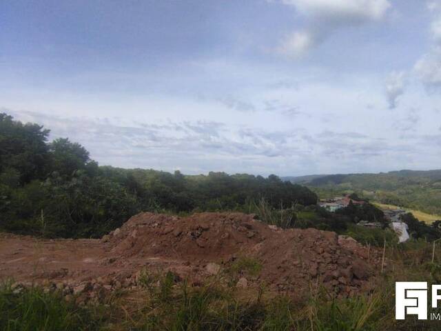 #1784 - Área para Venda em Caxias do Sul - RS
