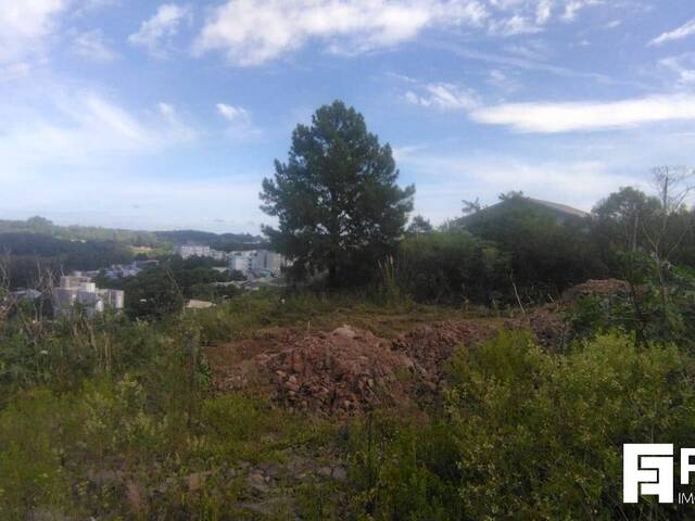 #1784 - Área para Venda em Caxias do Sul - RS