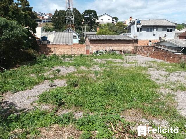 #1787 - Área para Venda em Caxias do Sul - RS