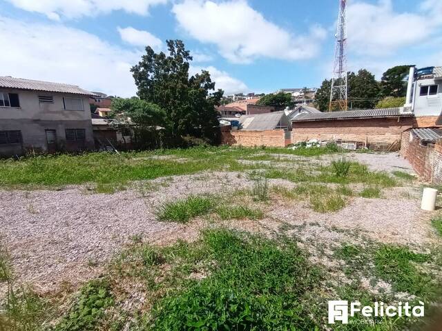 Área para Venda em Caxias do Sul - 4