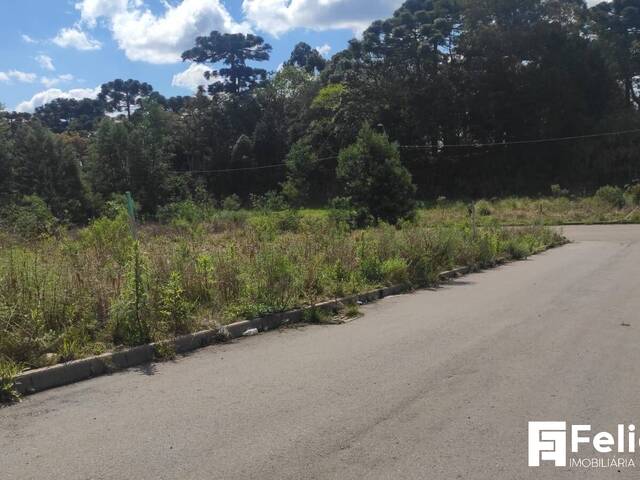 #1796 - Área para Venda em Caxias do Sul - RS