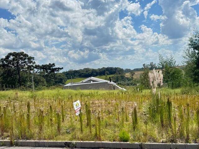 #1796 - Área para Venda em Caxias do Sul - RS