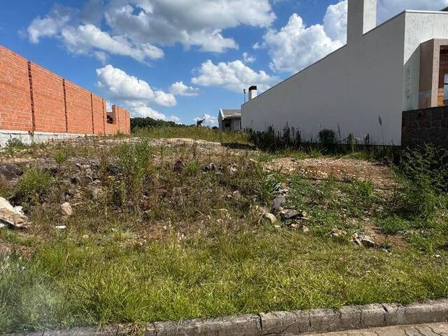 #1797 - Área para Venda em Flores da Cunha - RS