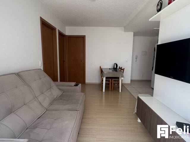 Apartamento para Venda em Caxias do Sul - 4