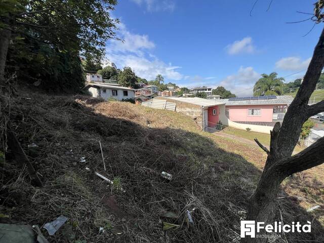 Área para Venda em Caxias do Sul - 4