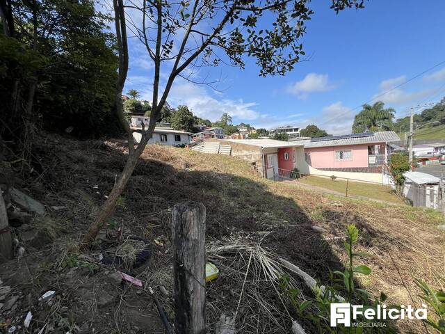 Área para Venda em Caxias do Sul - 5