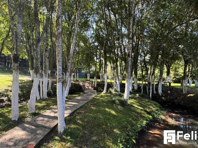 #1823 - Casa para Venda em Farroupilha - RS