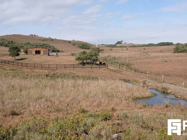 Chácara para Venda em Caxias do Sul - 2