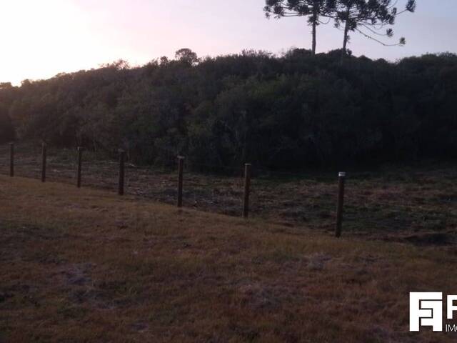 Chácara para Venda em Caxias do Sul - 4