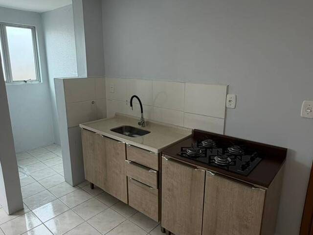 #1825 - Apartamento para Venda em Caxias do Sul - RS