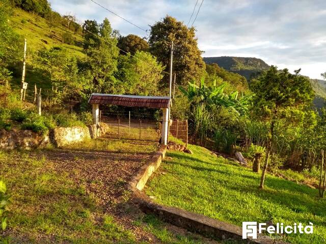 #1828 - Chácara para Venda em Caxias do Sul - RS