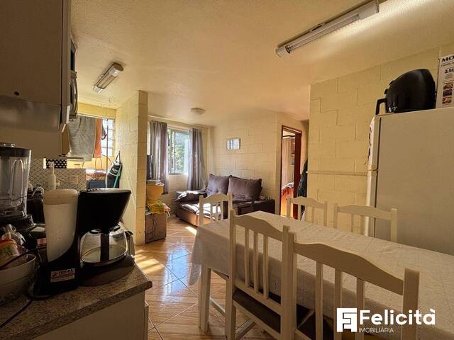 Apartamento para Venda em Caxias do Sul - 5