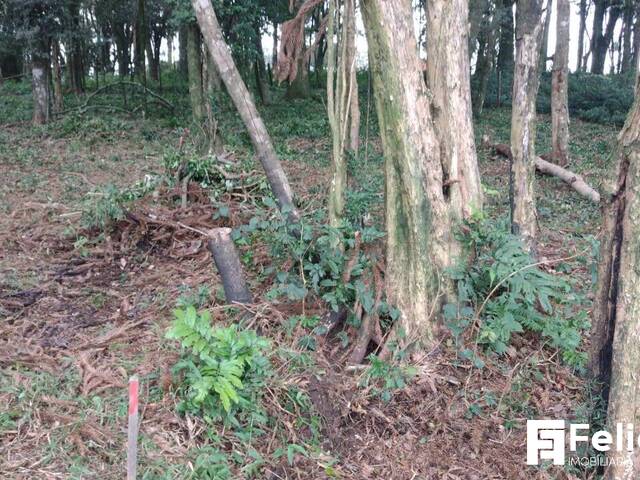 #1844 - Terreno para Venda em Caxias do Sul - RS