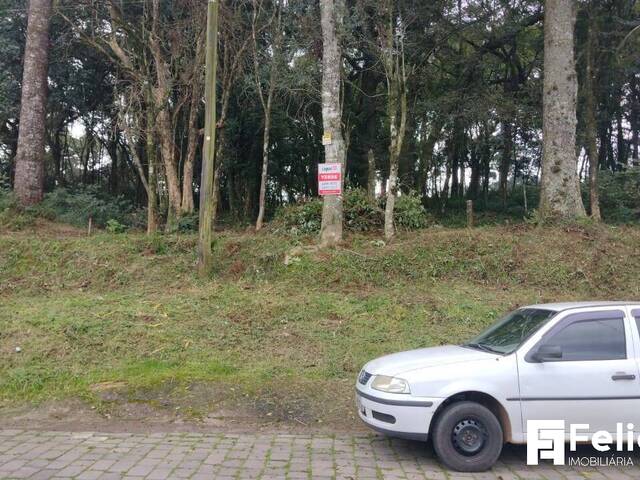 #1844 - Terreno para Venda em Caxias do Sul - RS