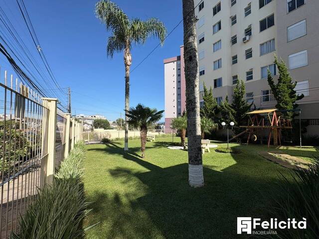 Apartamento para Venda em Caxias do Sul - 5