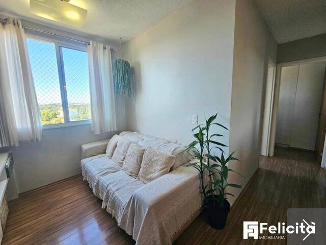 Apartamento para Venda em Caxias do Sul - 4