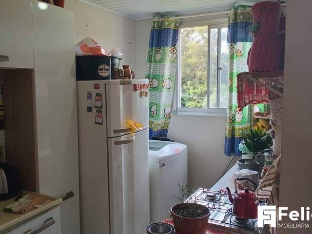 Apartamento para Venda em Caxias do Sul - 4