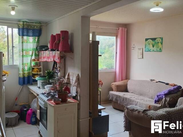 Apartamento para Venda em Caxias do Sul - 5