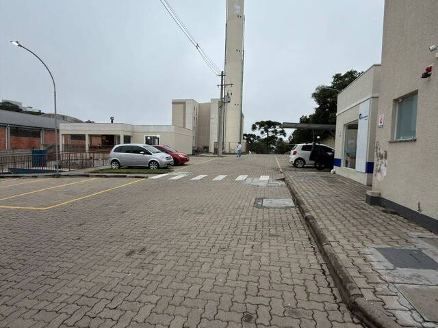 Apartamento para Venda em Caxias do Sul - 2